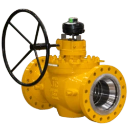Special Valves
